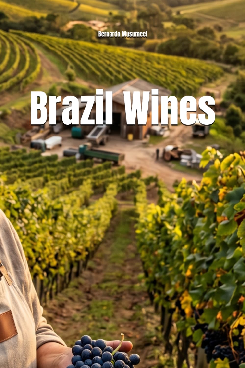 Wines of Brazil (Wines of the World: Brazil)