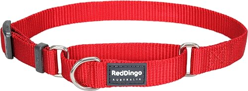 Red Dingo - Collar semiahogo