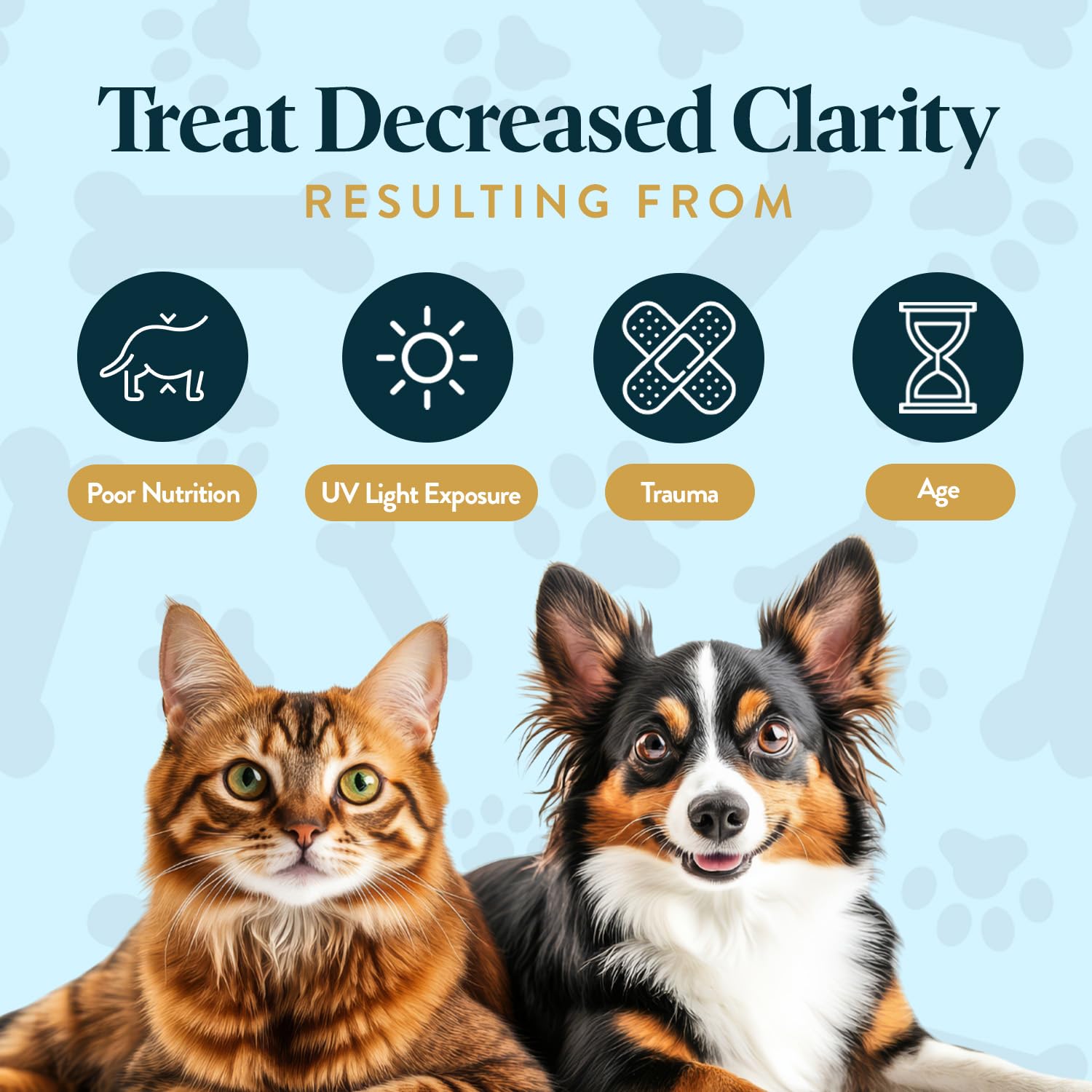 OcluVet Eye Supplement Bundle for Dogs & Cats, 15 Chews & 16 mL Drops — Amazon image 6