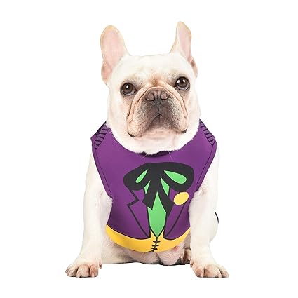 DC Comics for Pets Joker Dog Costume, X-Large | Large Dog Costume for Pets Officially Licensed by DC Comics | Soft and Comfortable Costume for Dogs, Extra Large Dog Costume
