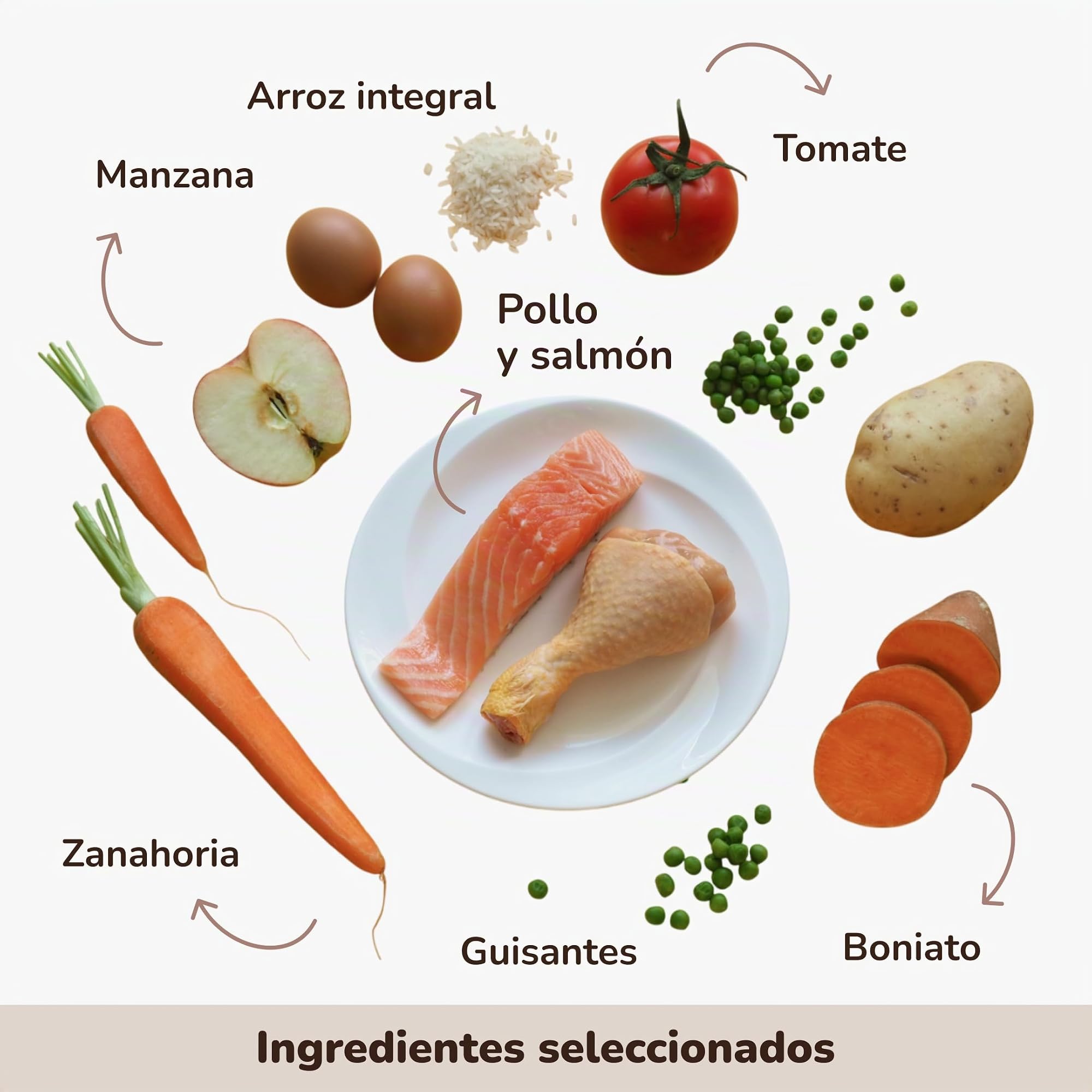 GALITO Pienso Perros Senior 12 kg Pollo y Salmón Sin Gluten