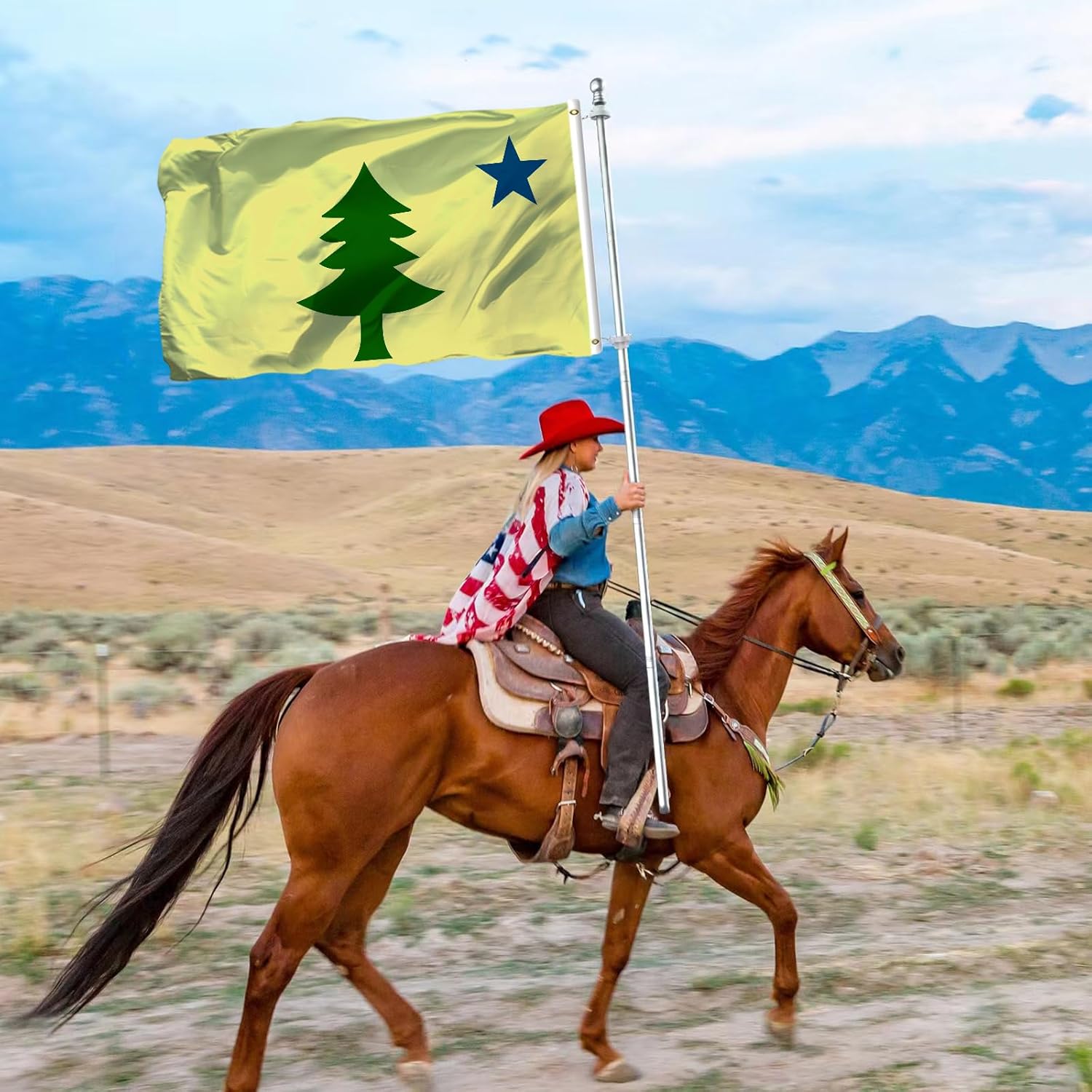 Original Maine 1901-1909 State Flag 3x5 Double Sided Heavy Duty 100% Polyester with 2 Brass Grommets for Outdoor Indoor Wall - Image 5