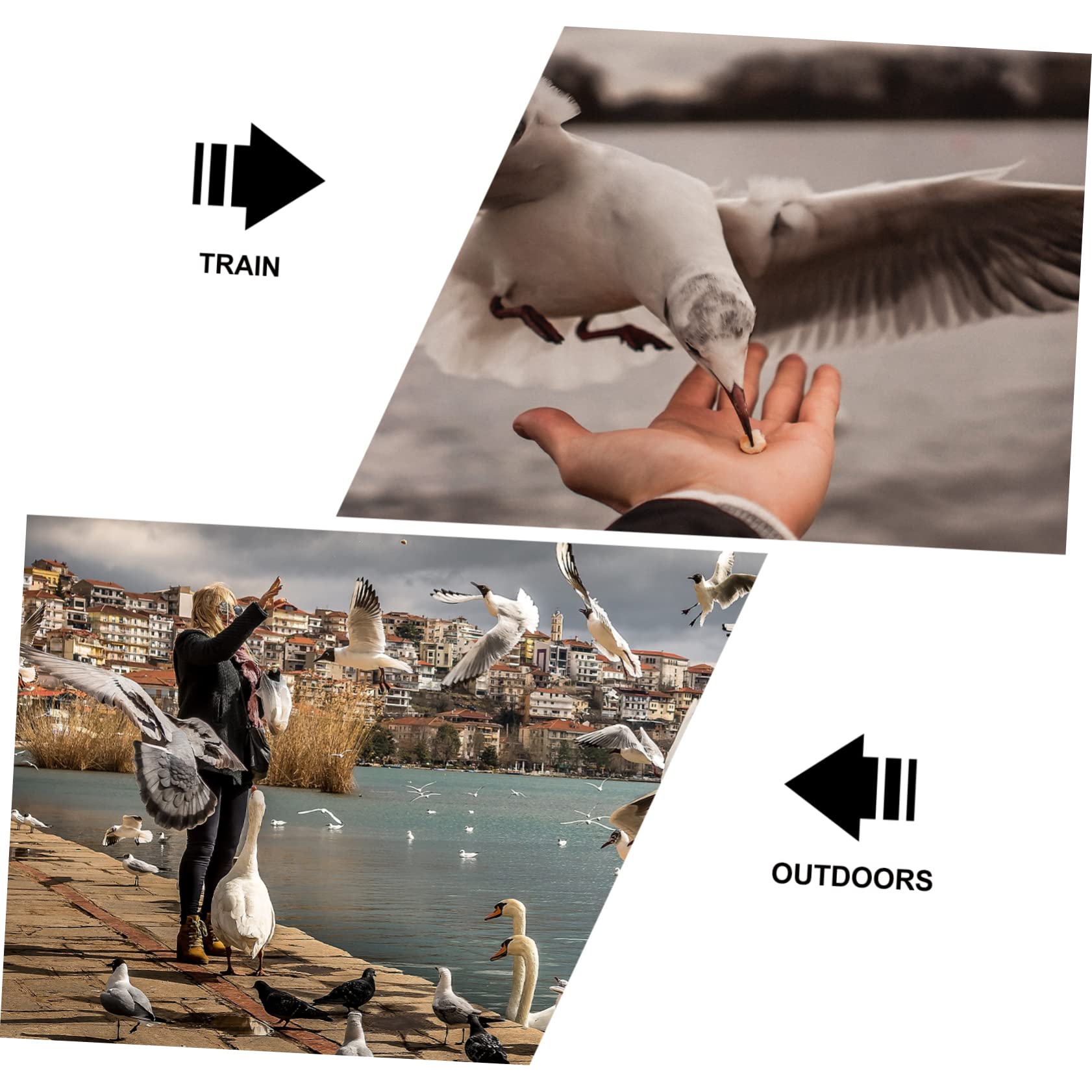 CIYODO 2 Pack Parrot Trainer Shoulder Diaper Pad Set -Scratch Comfortable Fit for Parrot Training