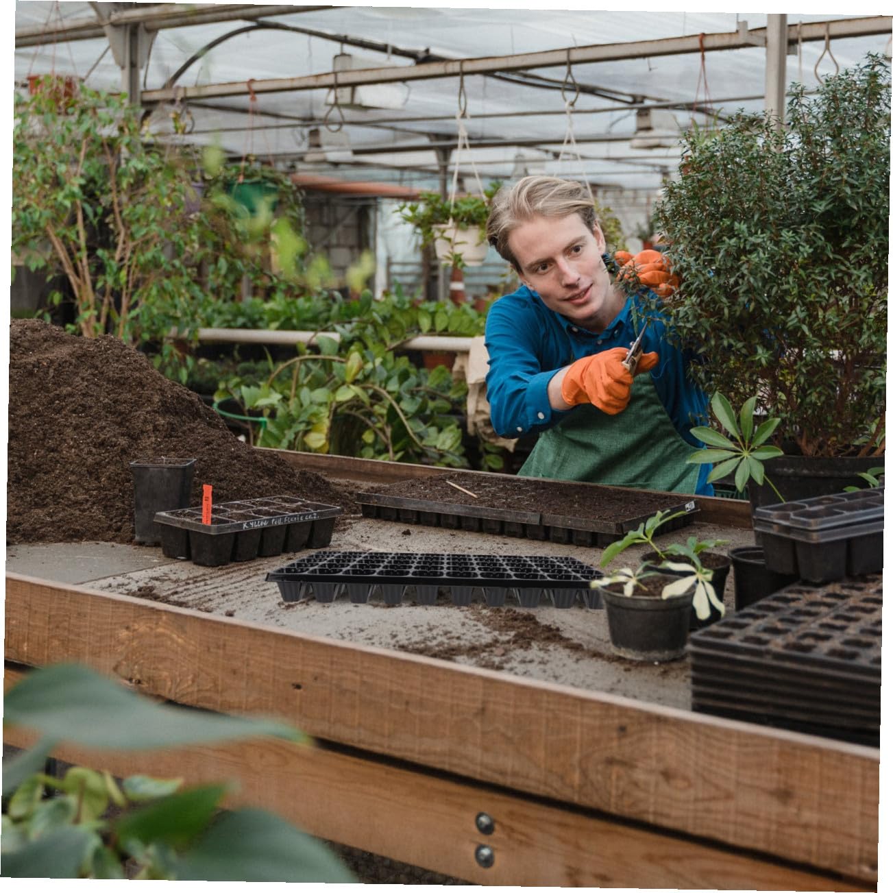 Toddmomy 10 Pièces Plaques de Germination de Plantes Plateaux de Semis Alvéoles pour Fleurs Semences Bac de Démarrage Réutilisable pour Jardinage