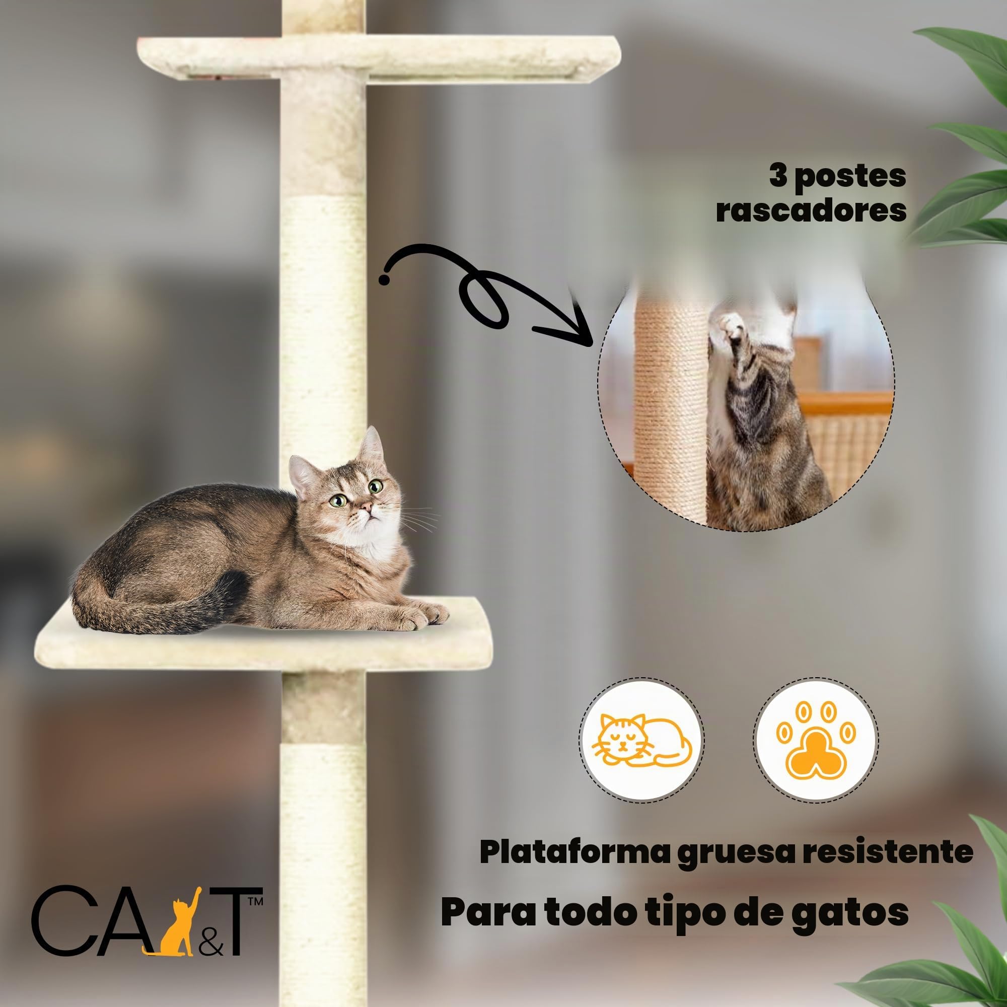 Poste escalador y rascador de suelo a techo para gatos