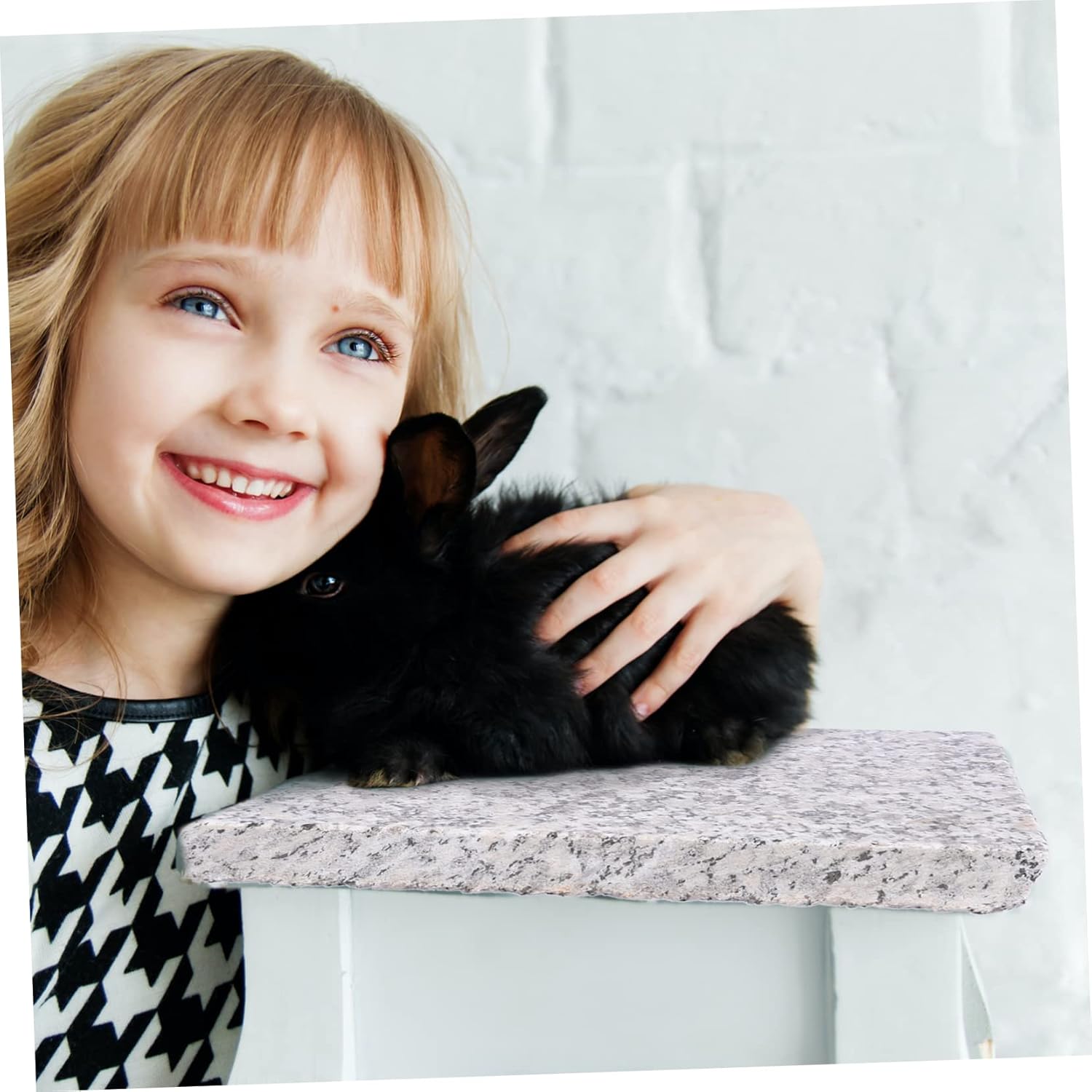 DECHOUS 1Pc Marble Hamster Cooling Board Summer Pet Cooling Board for Rabbits Guinea Pigs Animals Random Pattern Design Provides Comfort and Heat Dissipation