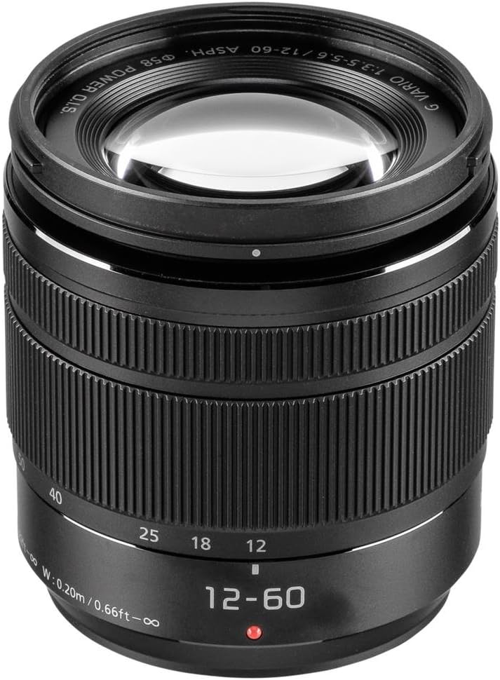 Panasonic 12-60 mm/F 3.5-5.6 LUMIX G VARIO POWER OIS ASPH 12 mm Lens