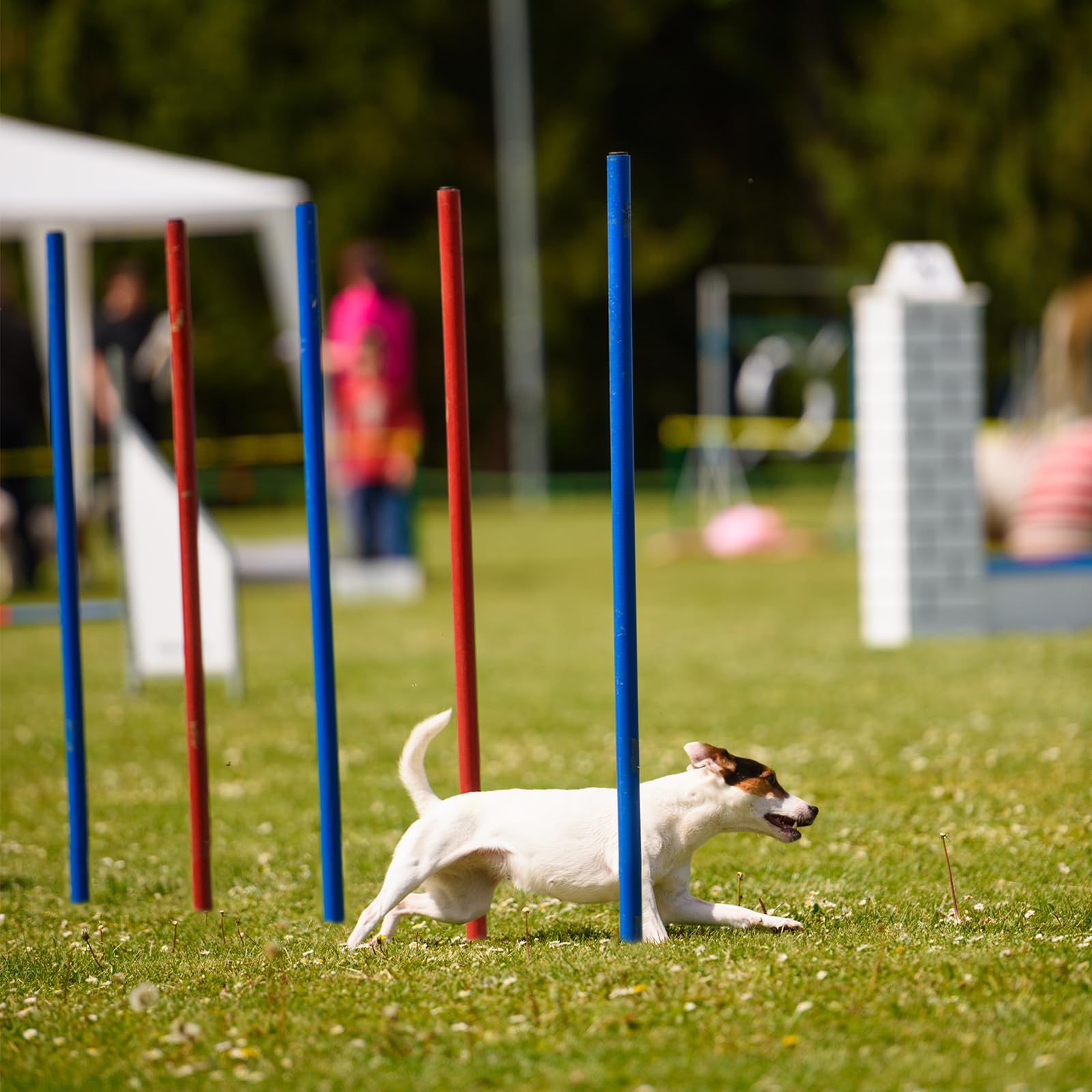 G TALECO GEAR Agility Set Hunde, 7-teiliges Set Agility Ausrüstung für Hunde, Agility Set mit 180CM Hundetunnel, Einstellbar Springring, 3 Einstellbar Hürdenstange, 8 Slalomstangen