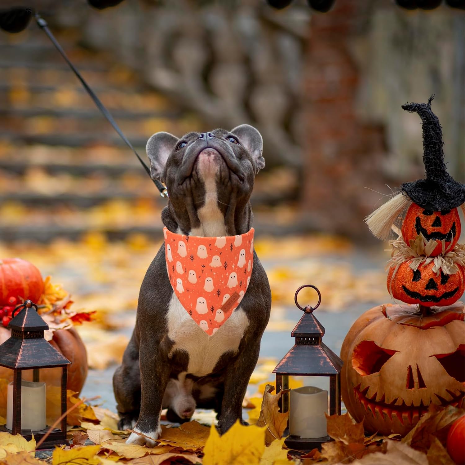 PTDECOR Halloween Dog Bandana, Ghost Pumpkin Dog Scarf, Large image 2