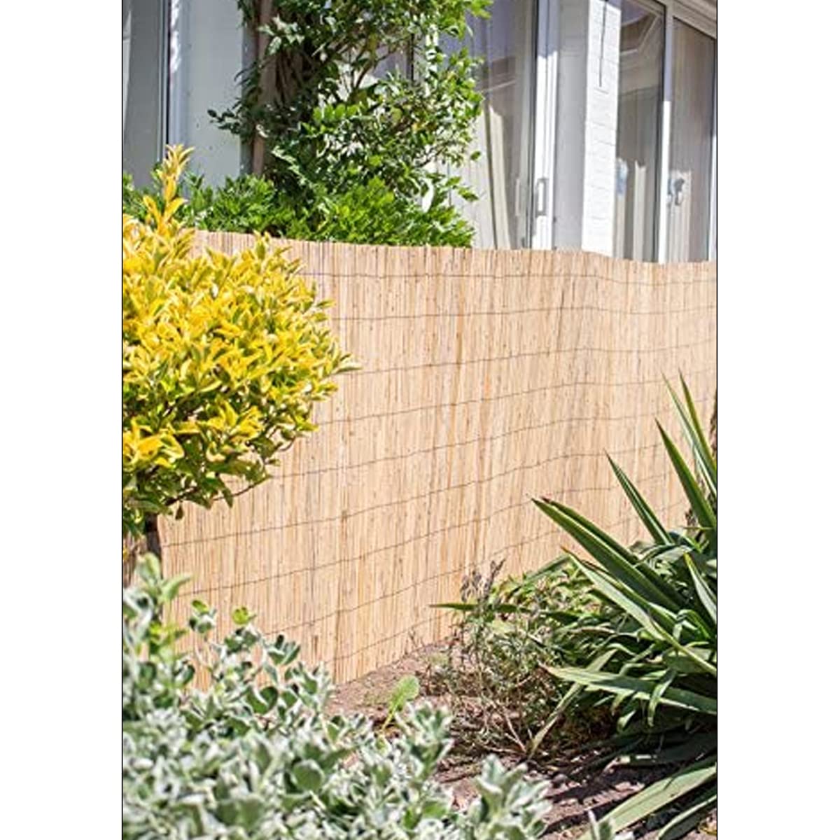 Juego de 4 Cañizos Naturales, Vallas de Ocultación y Decoración de Ambientes para Jardín, Balcón y Patio, Privacidad y Protección Contra el Viento y el Sol - Longitud 500 x Profundidad 150 cm -JUANIO-