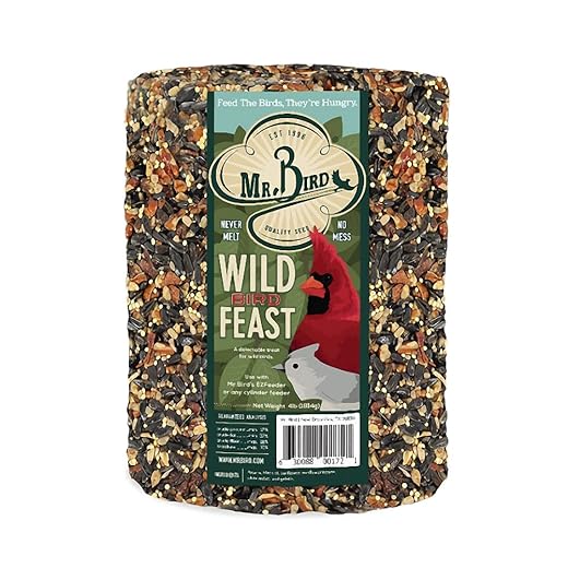 Mr. Bird WildBird Feast Seed Cylinder – Large
