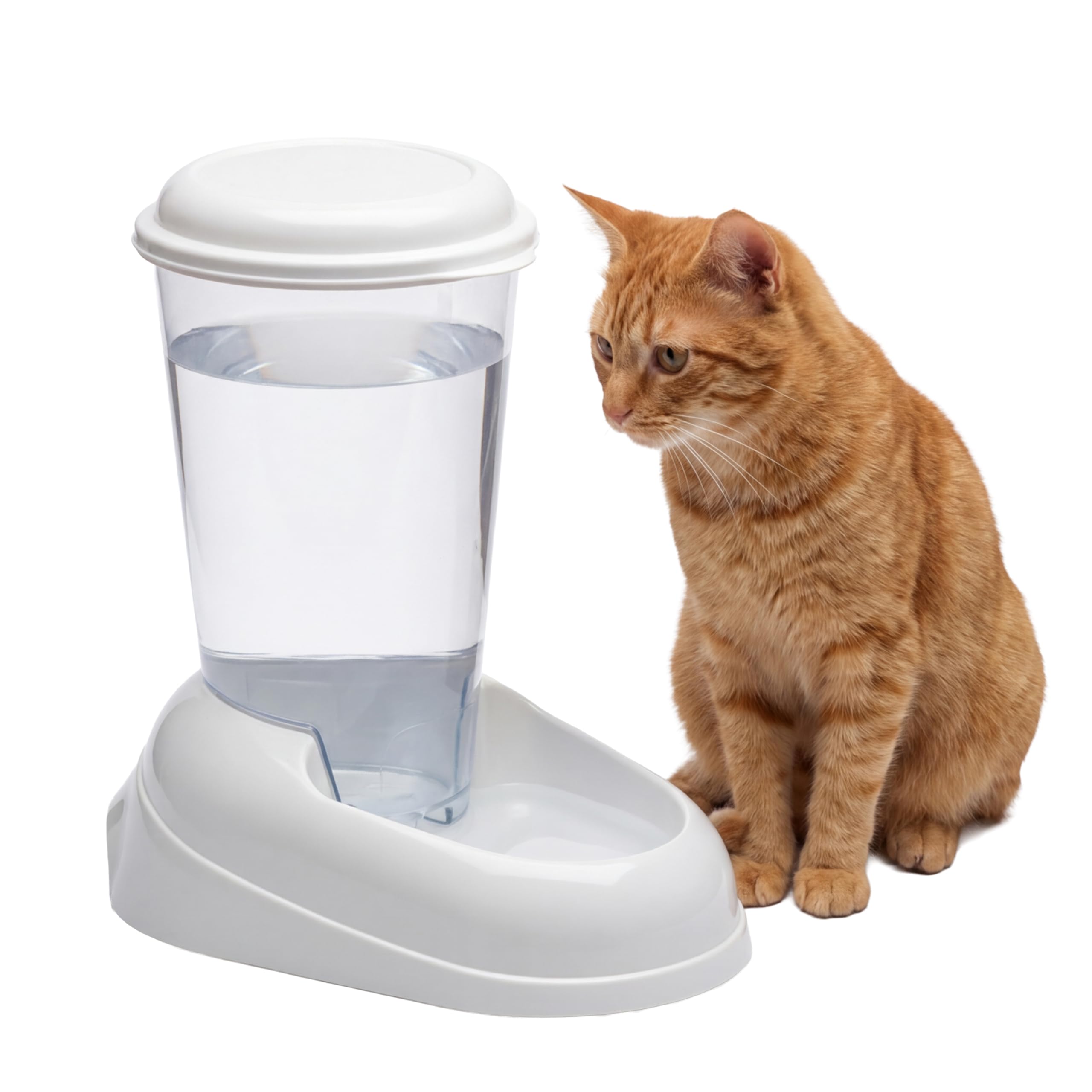 Ferplast Dispensador de Agua para Perro y Gato Nadir Drinker 3 litros para Perro pequeños y medianos, Fondo Antideslizante, 29,2 x 20,2 x h 28,8 cm Blanco