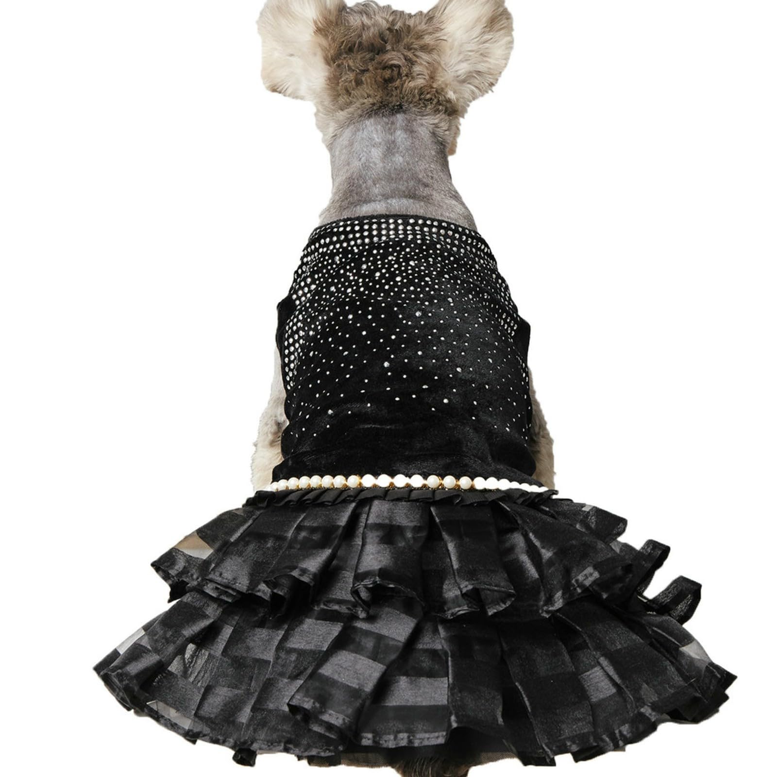 Mignon tenue de fête noire pour habiller facilement vos petits animaux
