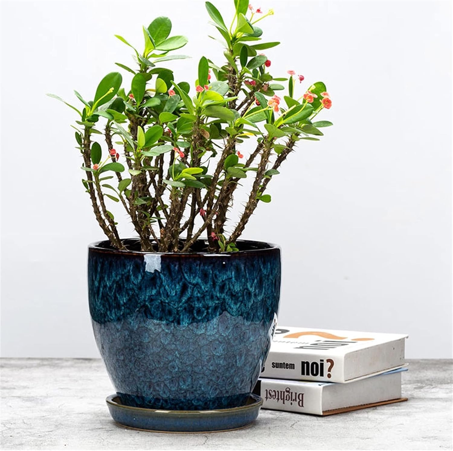Blue Reactive Glaze Ceramic Plant Pot with Saucer Textured Indoor Flower Pot with Drainage Hole for All House Plants, Succulents, Home Decor, Office Desk