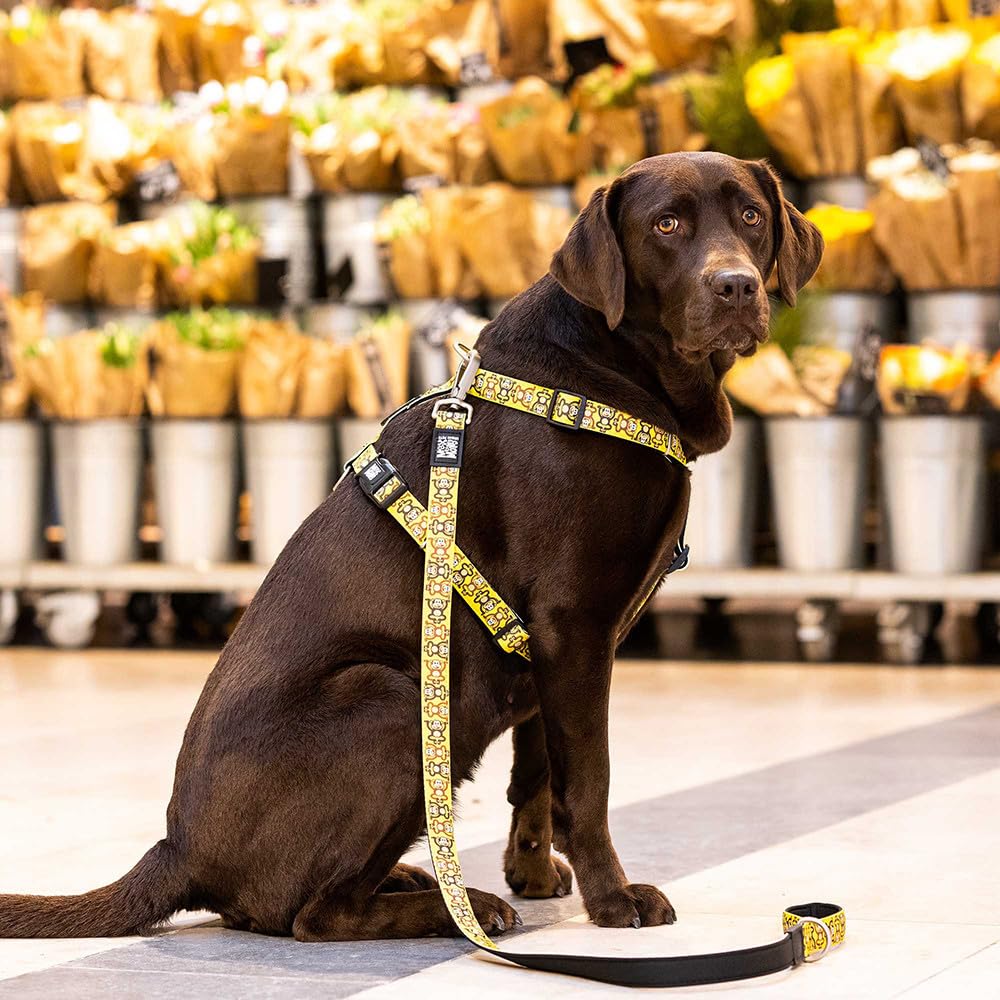 Max & Molly Multifunctional Dog Lead 2 m with 2 Carabiners, Monkey Maniac/L Shoulder Lead Padded, Safe & Flexible - Image 4