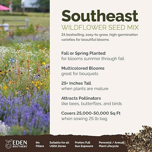 Miniatura 34 de Eden Brothers Midwest - Semillas mixtas de flores silvestres para plantar, 1 libra, más de 480,000 semillas con aciano, Candytuft, sombrero mexicano