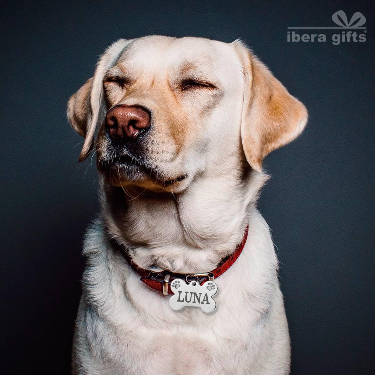 Engraved Stainless Steel Dog Tag Bone Shape, Size 37 x 23mm, Personalized Dog Tag for Medium to Large Dogs 10