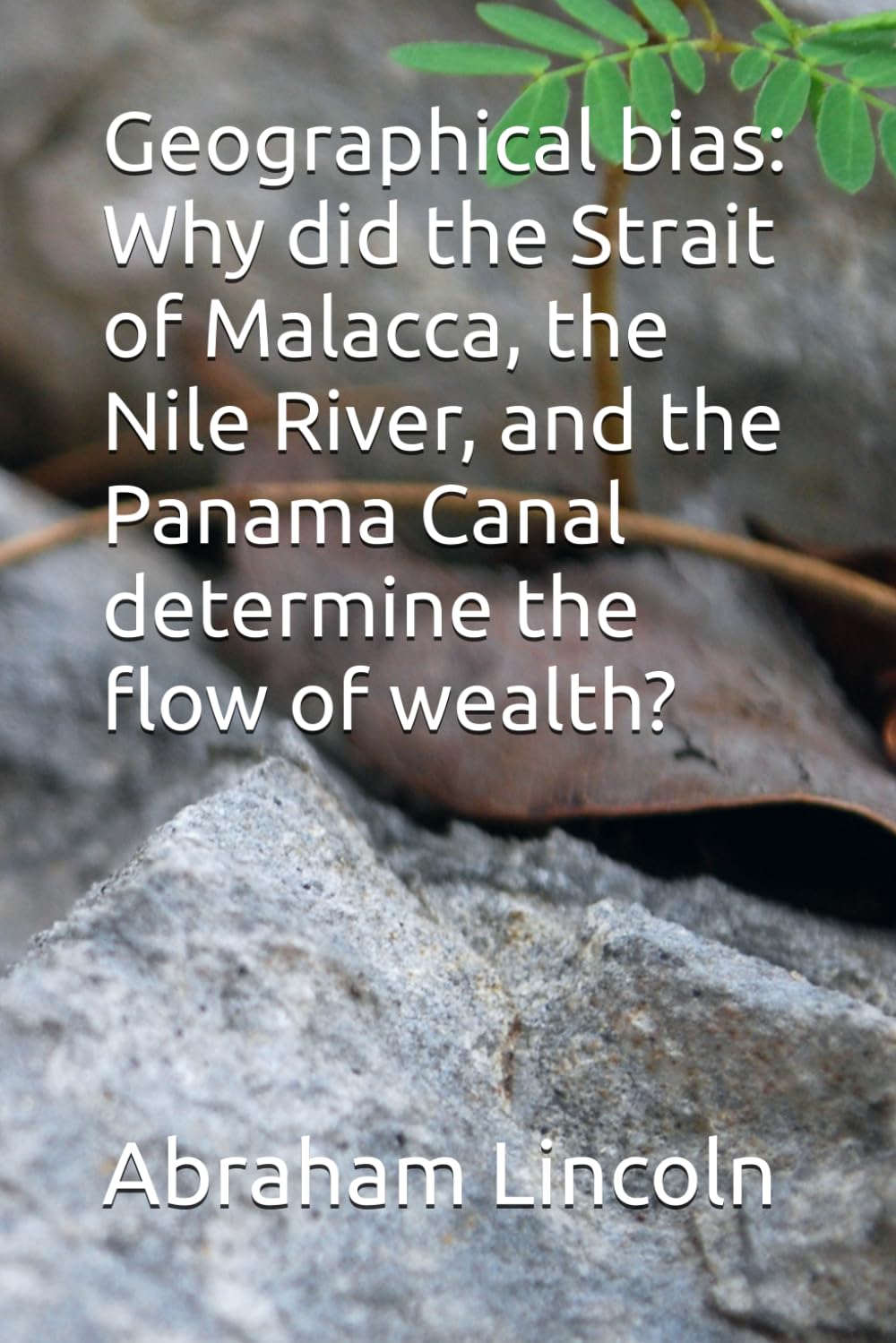 Geographical bias: Why did the Strait of Malacca, the Nile River, and the Panama Canal determine the flow of wealth?: 5 (The Metaphors of Geography)