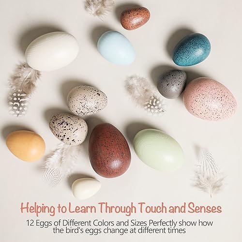 Miniatura 6 de OESSUF Huevos falsos de madera, huevos de Pascua, huevos de juego para niños pequeños, decoración de huevos de madera para jugar, cocina, huevos