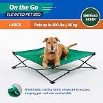 Coolaroo On The Go Elevated Pet Bed, Large, Emerald Green