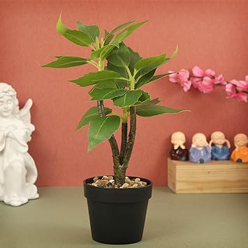 TIED RIBBONS Artificial Plants with Pot Stand (Green, 1 Feet) Decorative Bonsia Plant for Home Decor Living Room Bedroom Hall Garden Kitchen Office Table Indoor Outdoor Decoration Items