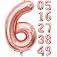 Propsicle 16 inch Number 6 Foil Balloon - Rose Gold Numeric Balloon for Birthday Decoration, Anniversary, Milestone - No. Six