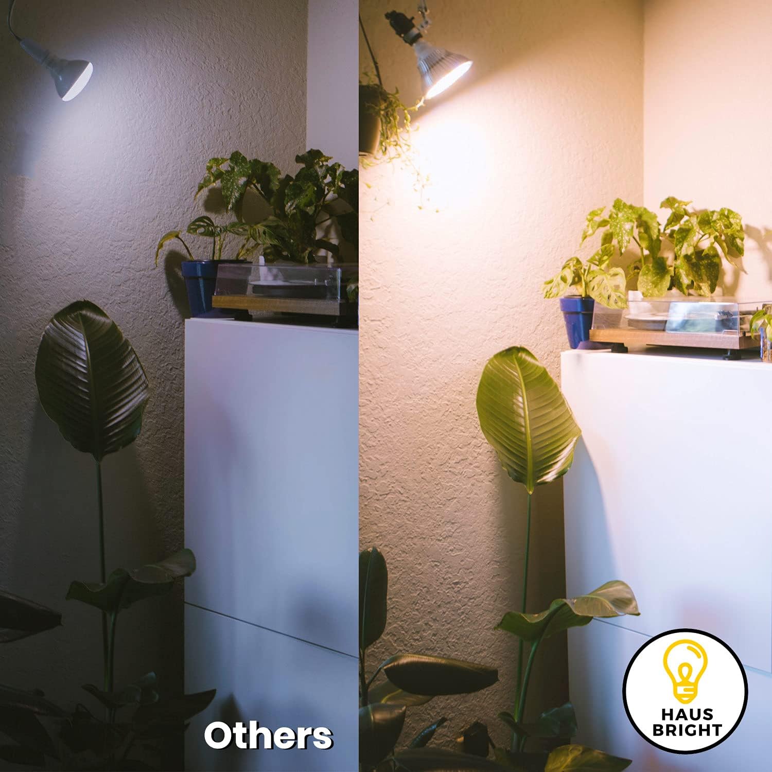 LED Grow Light Bulb - Warm White | for Indoor Plants Full Spectrum Lamp | Seed Starting, House, Garden, Vegetable, Succulent, Hydroponic, Greenhouse Growing | 100W E26