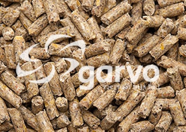 Garvo 731 Layers Pellets 20kg - Chicken Food