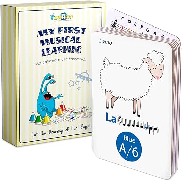 MINIARTIS Musical Flash Cards for Kids with Note Reading and Music Theory | Music Note Reading, Piano Flashcards, Color-Coded Cards, Large Size, Classroom Use, Early Preschool Learning, Montessori Toy