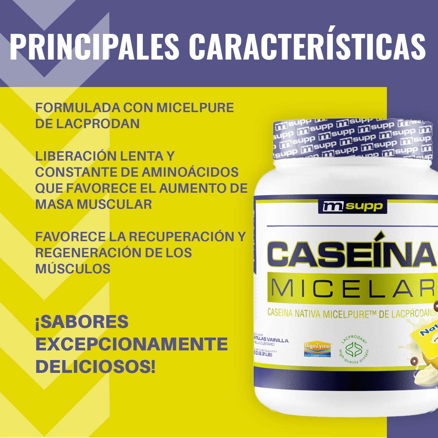 Caseina micellare - 1 Kg - Gusto crema pasticcera Vaniglia - Proteine ​​della caseina - Aumenta la Massa Muscolare - Rilascio prolungato di aminoacidi - Recupero Post Allenamento