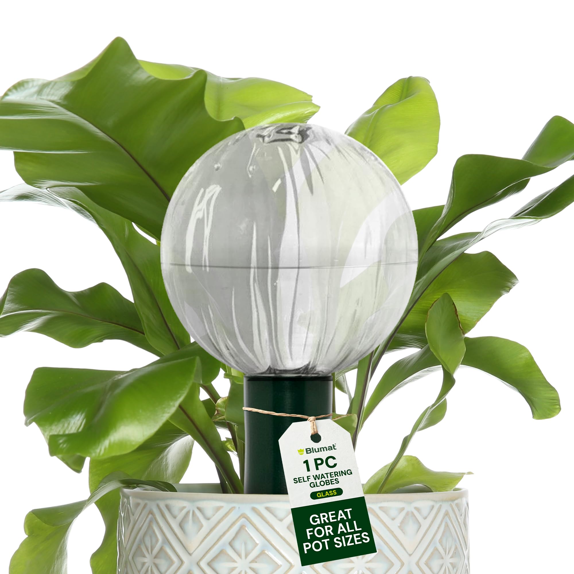 Blumat Globes d'arrosage automatique pour plantes d'intérieur en verre, irrigation goutte à goutte automatique pour plantes d'intérieur, plantes suspendues, plantes d'intérieur, accessoires de jardin,