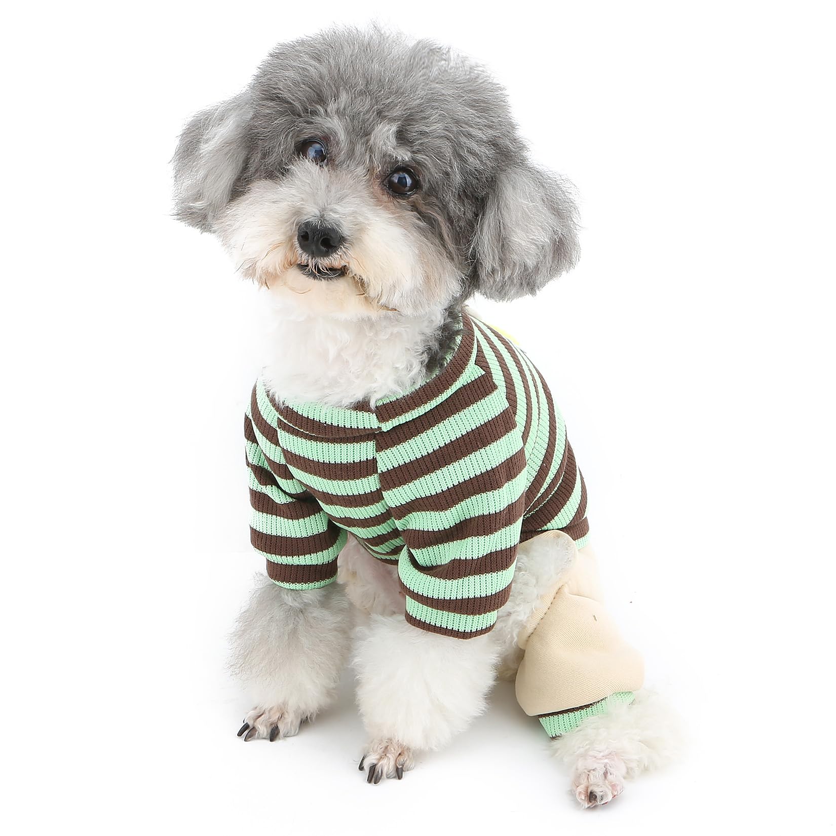 XHYRHTS Combinaison tricotée rayée pour Chien de Petite Taille, Tenue Chaude et Extensible pour Chiot avec Anneau en D et Lettre, Pull Doux à Quatre Pattes, Pyjama Confortable d'automne pour
