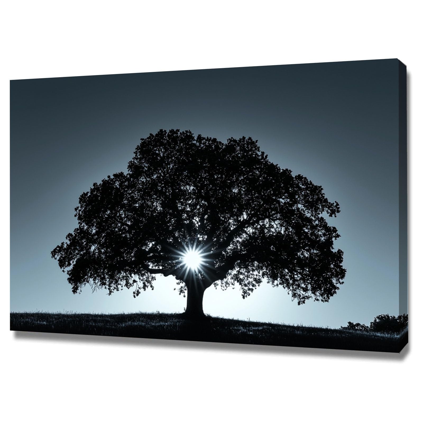 WIKEO Cuadros Dormitorios Modernos Paisaje Abstracto de Árboles Forestales Lienzos Decorativos para Pasillo Dormitorio Baño Entrada Sala de yoga（Negro 1-50x70cm Enmarcado