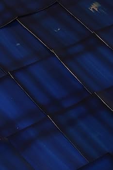 限定ケース　DIGNIS A&amp;ultima SP1000 PANTNABrown 限定ケース DIGNIS A&ultima SP1000 PANTNABrownの通販 by