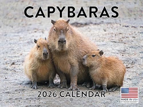 Vista 33 de Calendario alpaca 2026, calendario mensual de pared de 12 meses Hecho en Estados Unidos. Red Pandas