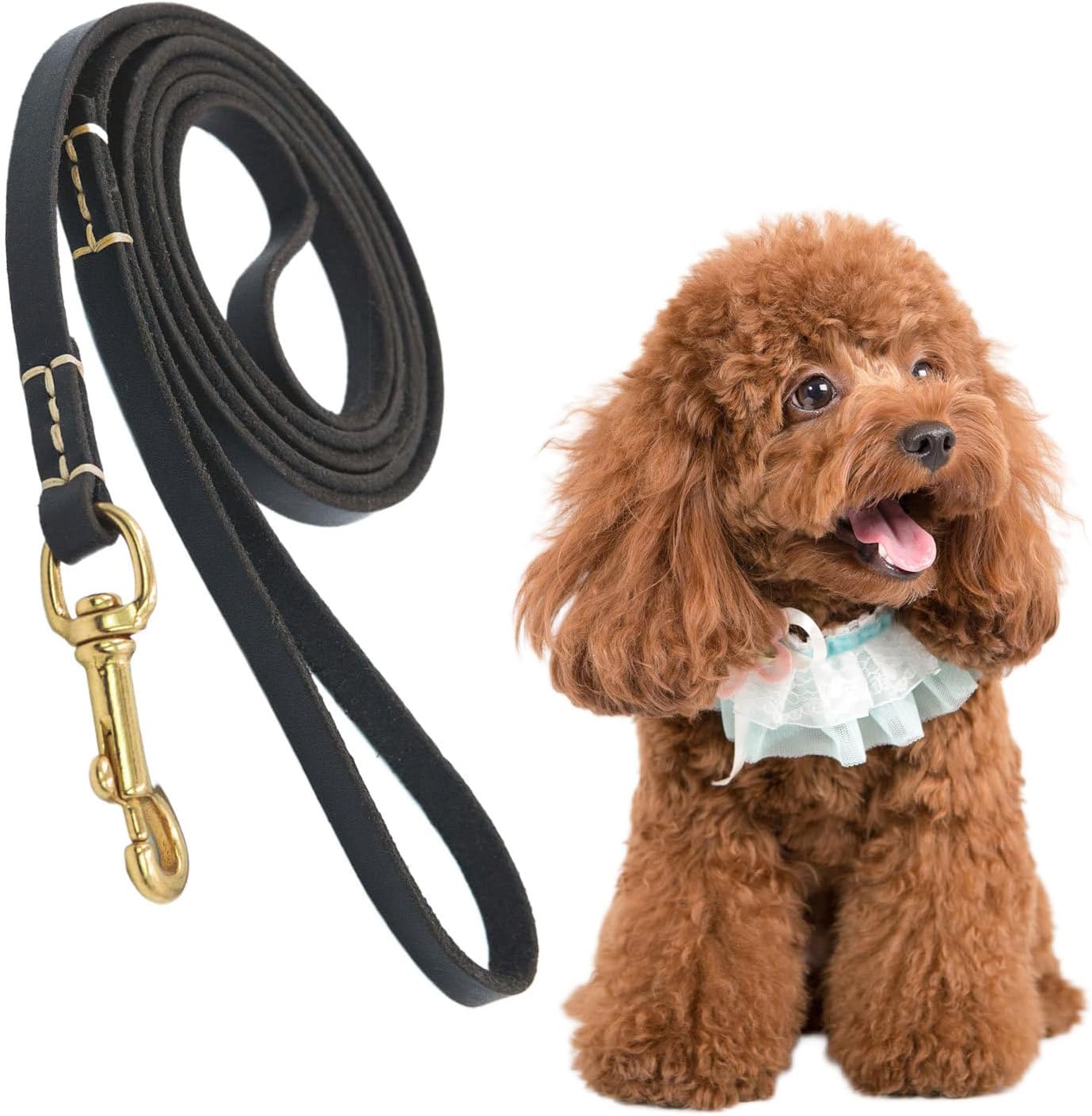 Pull Rope for Dogs - Ergonomic Adjustable Handle, Dog Traction Rope for Small Medium and Large Dog Breeds for Walking, Training, Park, Outdoor, Garden and Neck