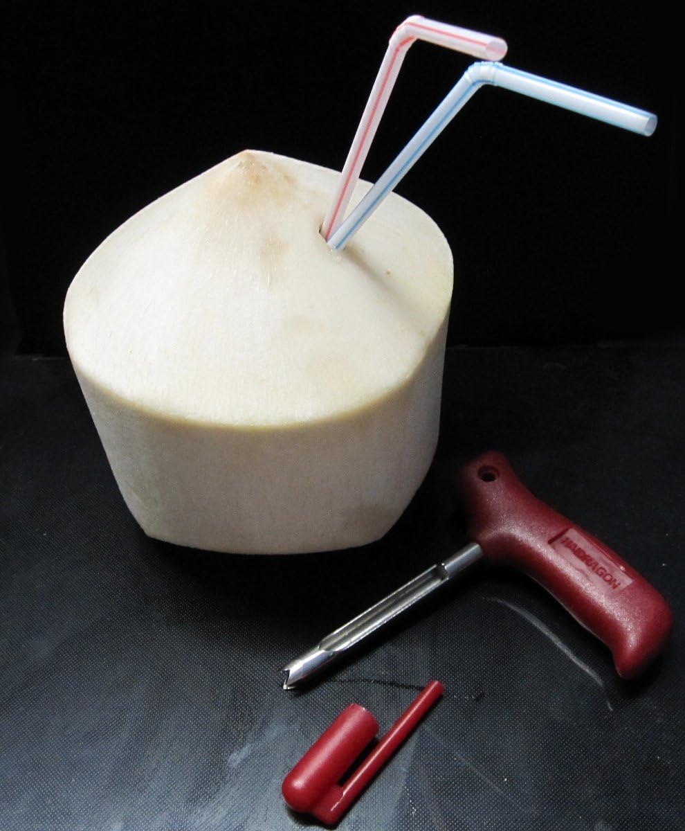 1 X Haidragon Coconut Knife