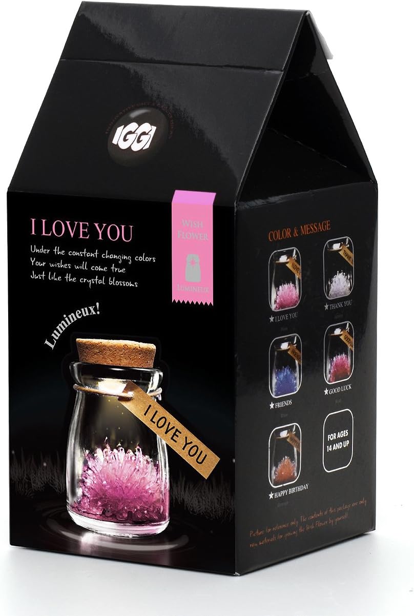 I Love You, Pink LED Magic Grow Your Own Crystal Garden Wish Flower Jar