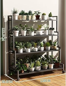 71bMyNfc8oL._AC_UF350,