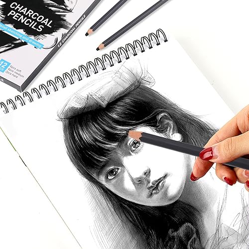 Miniatura 5 de Sunshilor Juego de 12 lápices de carbón profesionales, 12 lápices de carbón duro suave y medio para dibujar, dibujar, sombrear, lápices de artista
