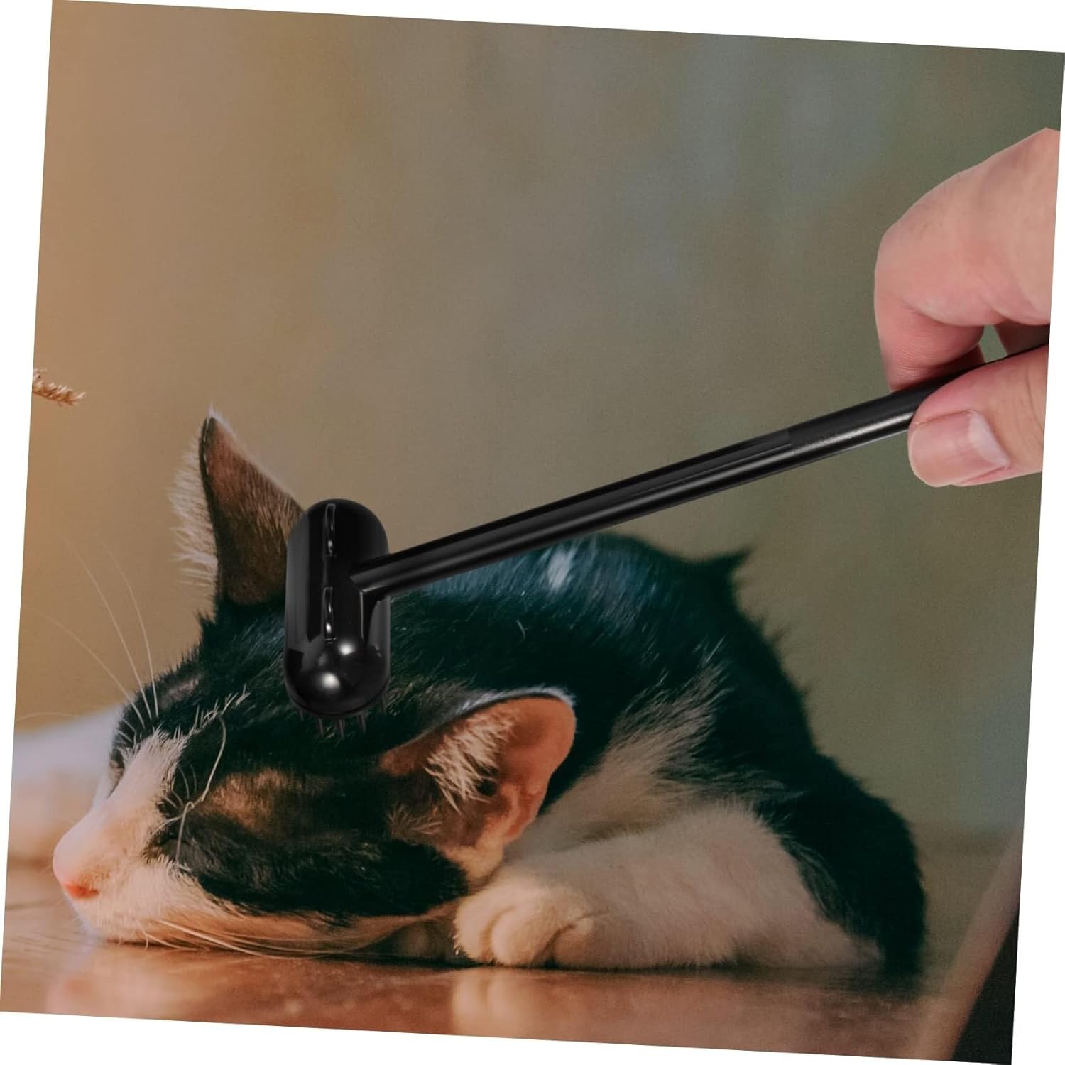 POLGDW 3 Sets Hair Brush Cat Massage Brush Cat Grooming Massager Pet Massaging Brush Self Cleaning Brush for Dogs Pet Grooming Brush Cat Face Cat Grooming Comb The Cat Abs Pet Brush