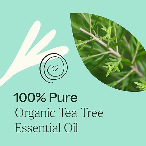 Vista 170 de Plant Therapy Aceite esencial de orégano orgánico 100% puro, certificado por USDA, orgánico, sin diluir, aromaterapia natural, grado terapéutico