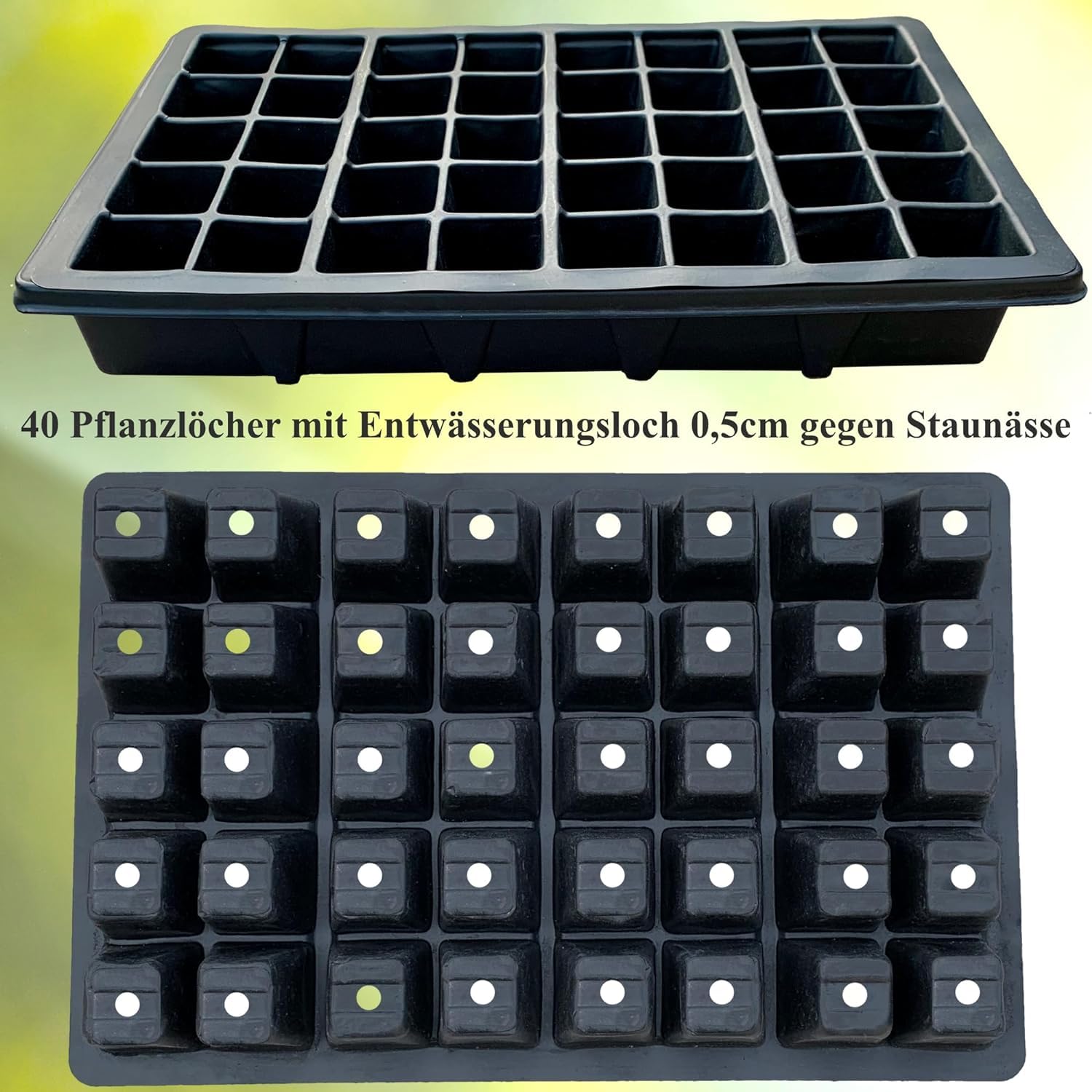 KRONLY Stabile Anzuchtsplatten 2 Stück mit Untersetzer 80 Pflanzlöchern - Saatplatte für Anzucht
