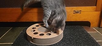 Review Image by ErinKuss ErinKuss