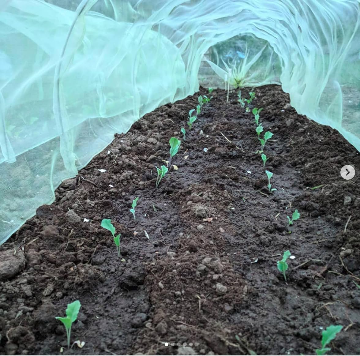 Tierra Garden Haxnicks Easy Micromesh Tunnel, Protect Your Garden & Extend Gardening Season (Giant)