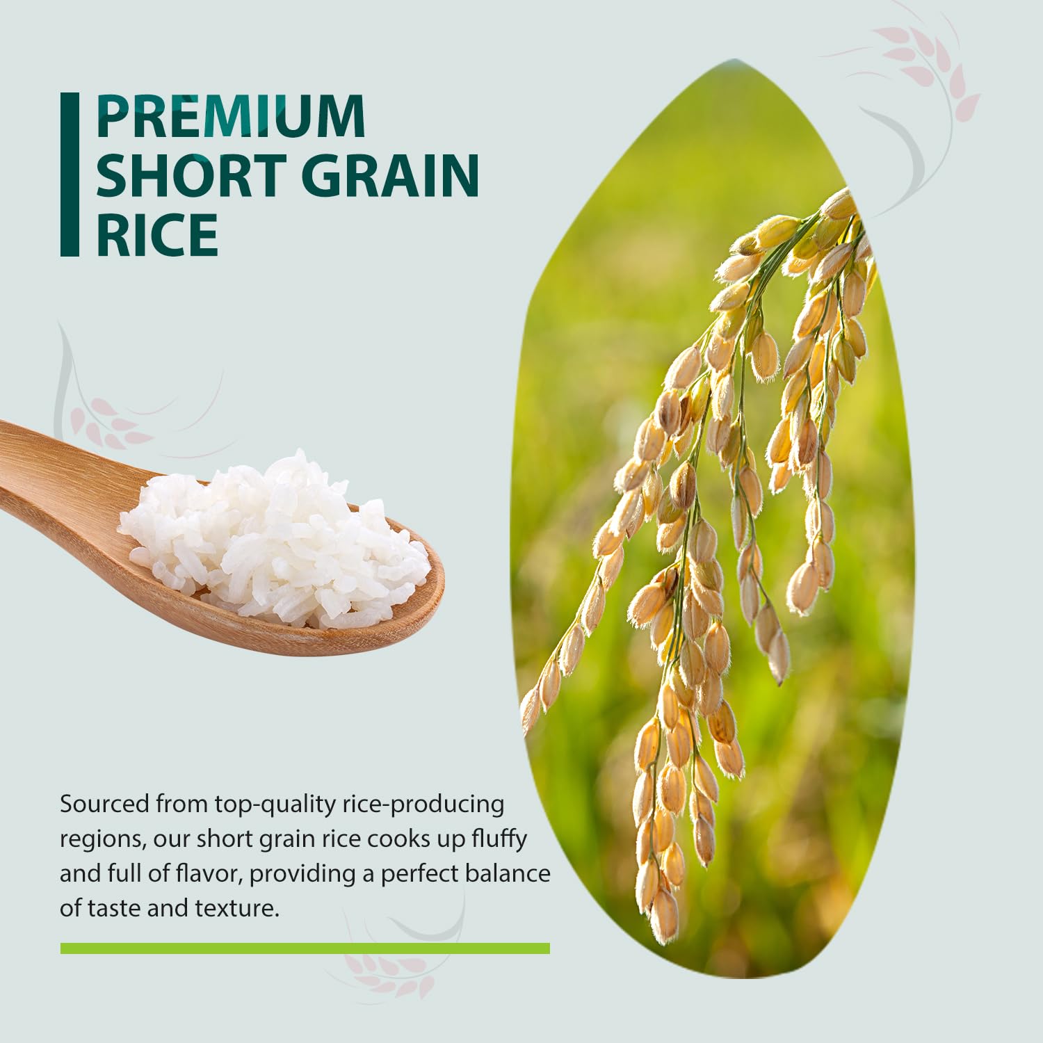 Soeos Japonica Sushi Rice, Short Grain Rice, Gluten-Free, Non-GMO