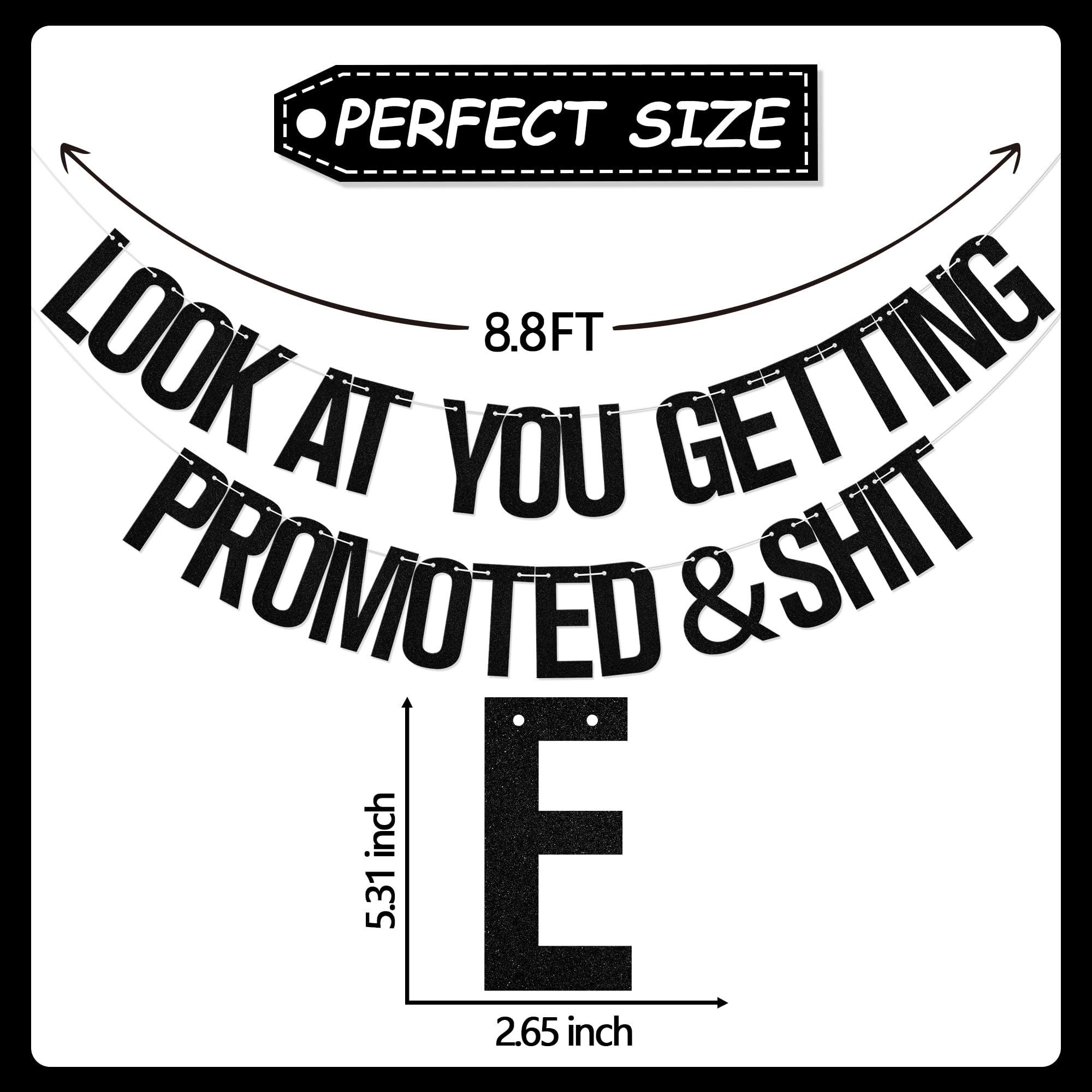 Look at You Getting Promoted & Shit Banner, Congratulations Decorations, Congratulations on Your Promotion - Image 2