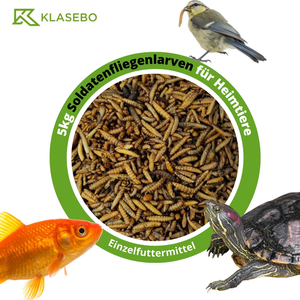 Soldatenfliegenlarven getrocknet (Hermetia illucens), für Vögel, Hühner, Igel, Reptilien, Fische (5 kg)