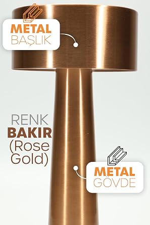 Şarjlı Mantar Masa Lambası Metal Dokunmatik 3 Işık Parlaklık Ayarlı Gece Masa Üstü Lamba (Bakır A3) [Enerji Sınıfı A]