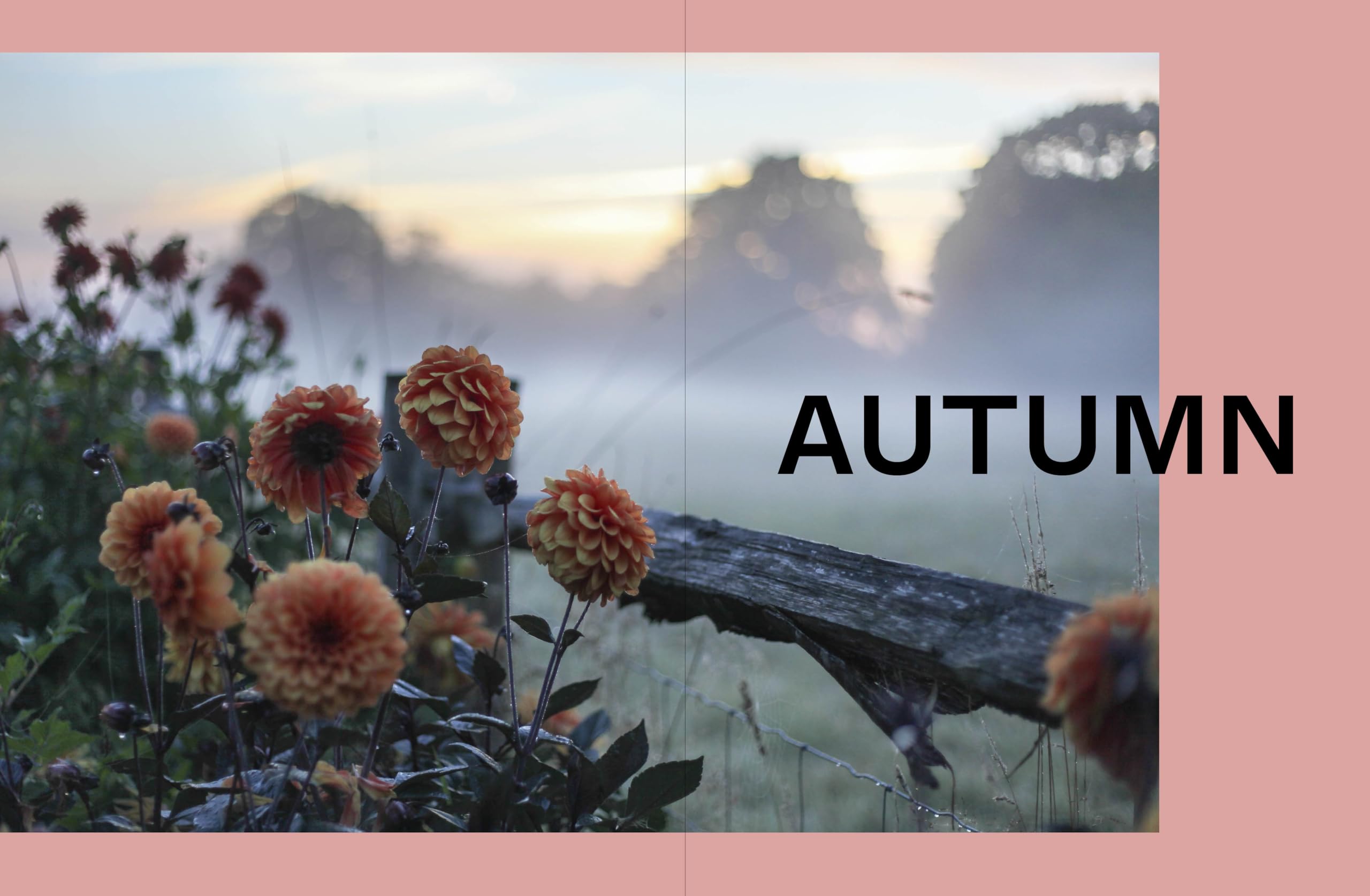 Life in Bloom: Grow, Gather & Arrange Seasonal Flowers